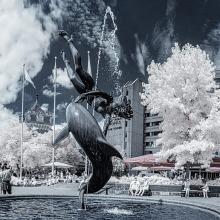 _igp4042